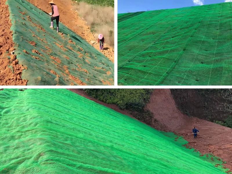 تخصيص شبكات الغطاء النباتي ثلاثية الأبعاد: كيف تؤثر المواصفات على نتائج المشروع