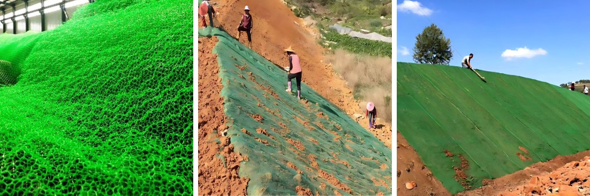 Ilmu di Balik Jaring Vegetasi 3D: Bagaimana Jaring Tersebut Menstabilkan Tanah dan Mendorong Pertumbuhan