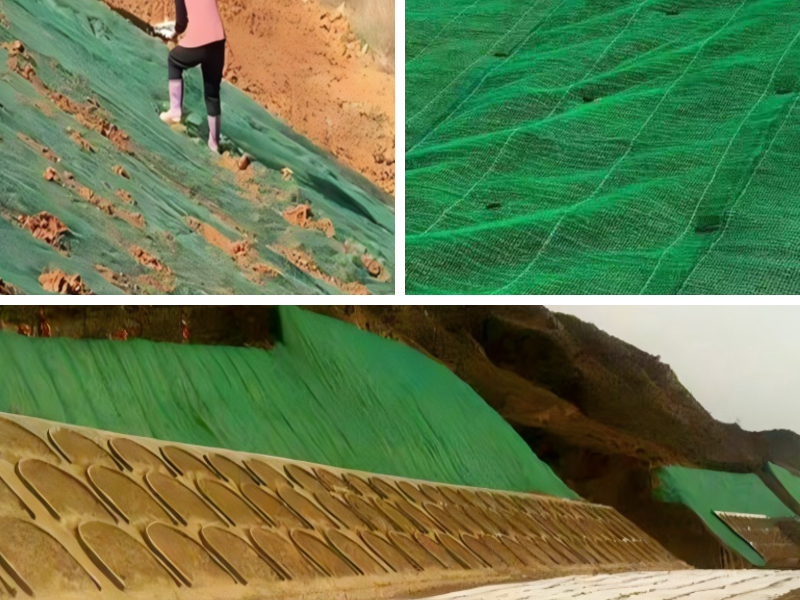 Géomats durables : des matériaux écologiques qui façonnent l’avenir de la lutte contre l’érosion