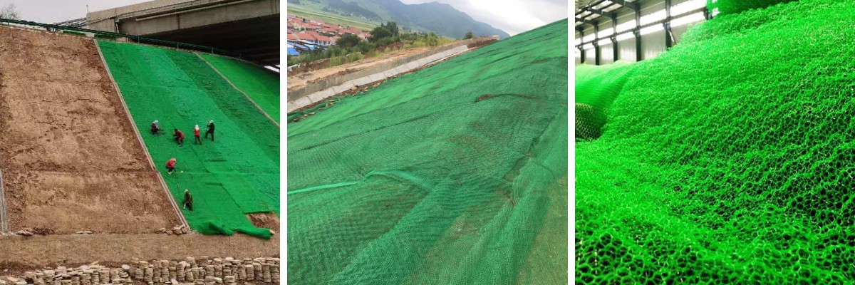 Por qué las redes de vegetación 3D son clave para la infraestructura verde y el desarrollo sostenible.