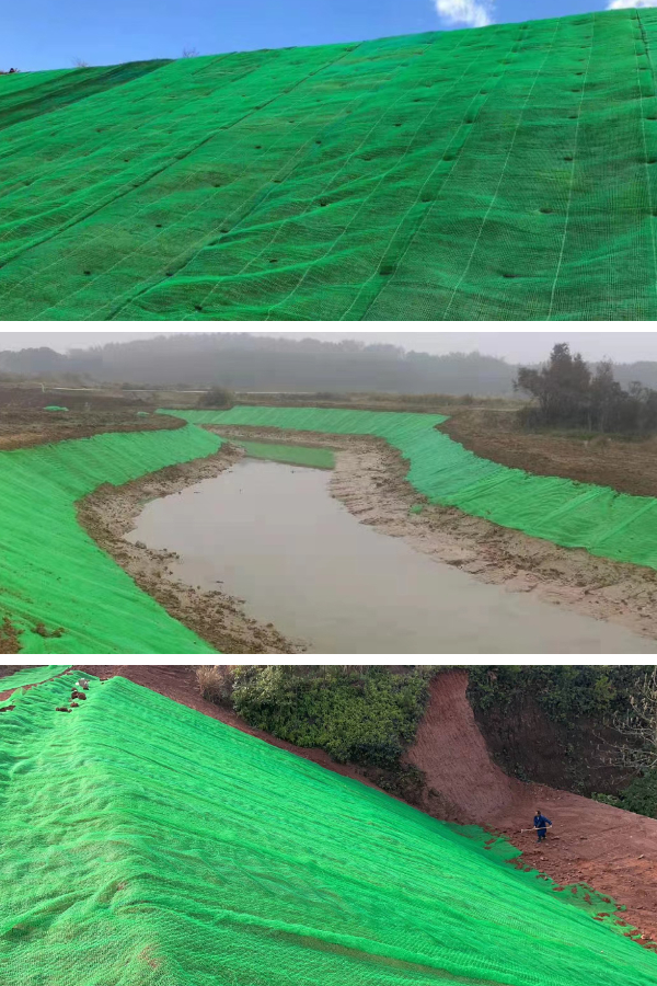 河岸と海岸線の保護:3D植生ネットによる硬質装甲の持続可能な代替手段 河岸と海岸線の保護:3D植生ネットによる硬質装甲の持続可能な代替手段