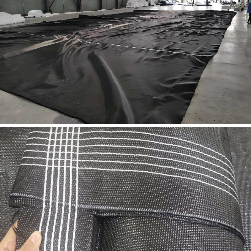 Environmental Benefits of Using Geotube for Contaminant Containment. Environmental Benefits of Using Geotube for Contaminant Containment.