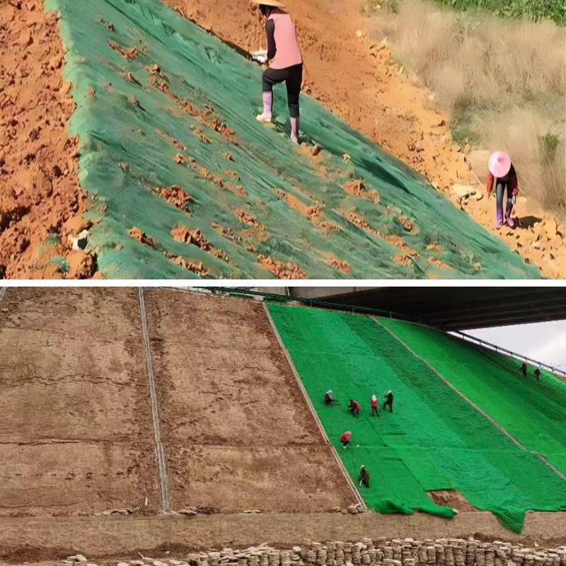 Las 5 ventajas clave de las redes de vegetación 3D para proyectos de control de la erosión a largo plazo