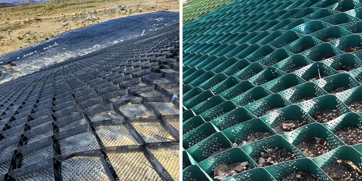 熱帯雨林の斜面でのジオセルの応用: 耐湿性と植生の相乗効果