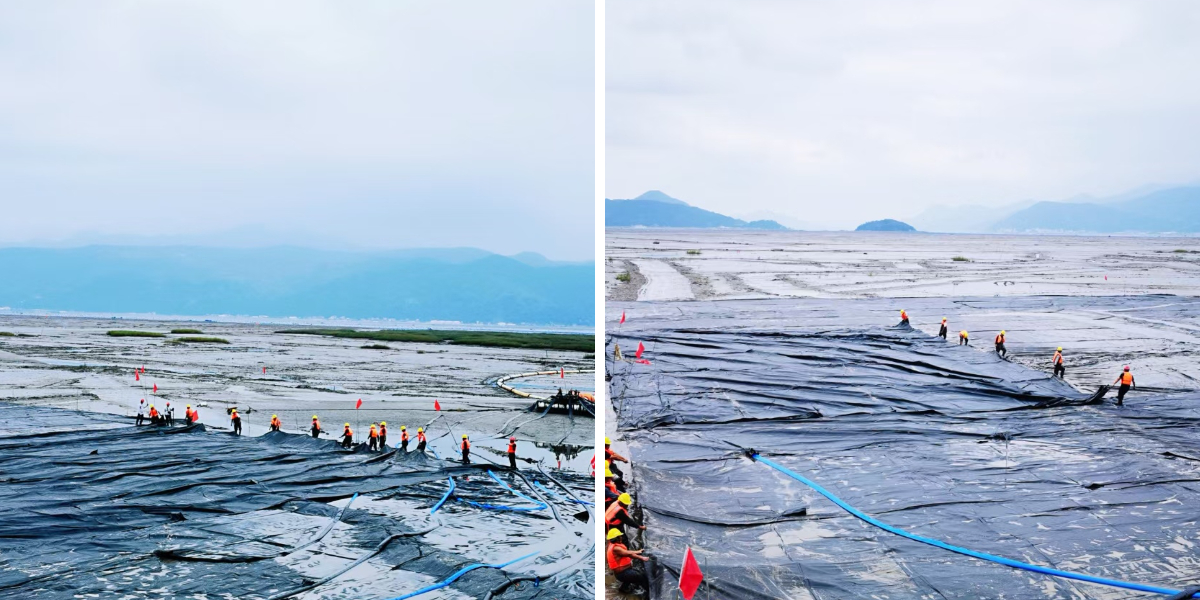 أنبوب التكسية الأرضية: الحل النهائي للتحكم في التآكل الساحلي