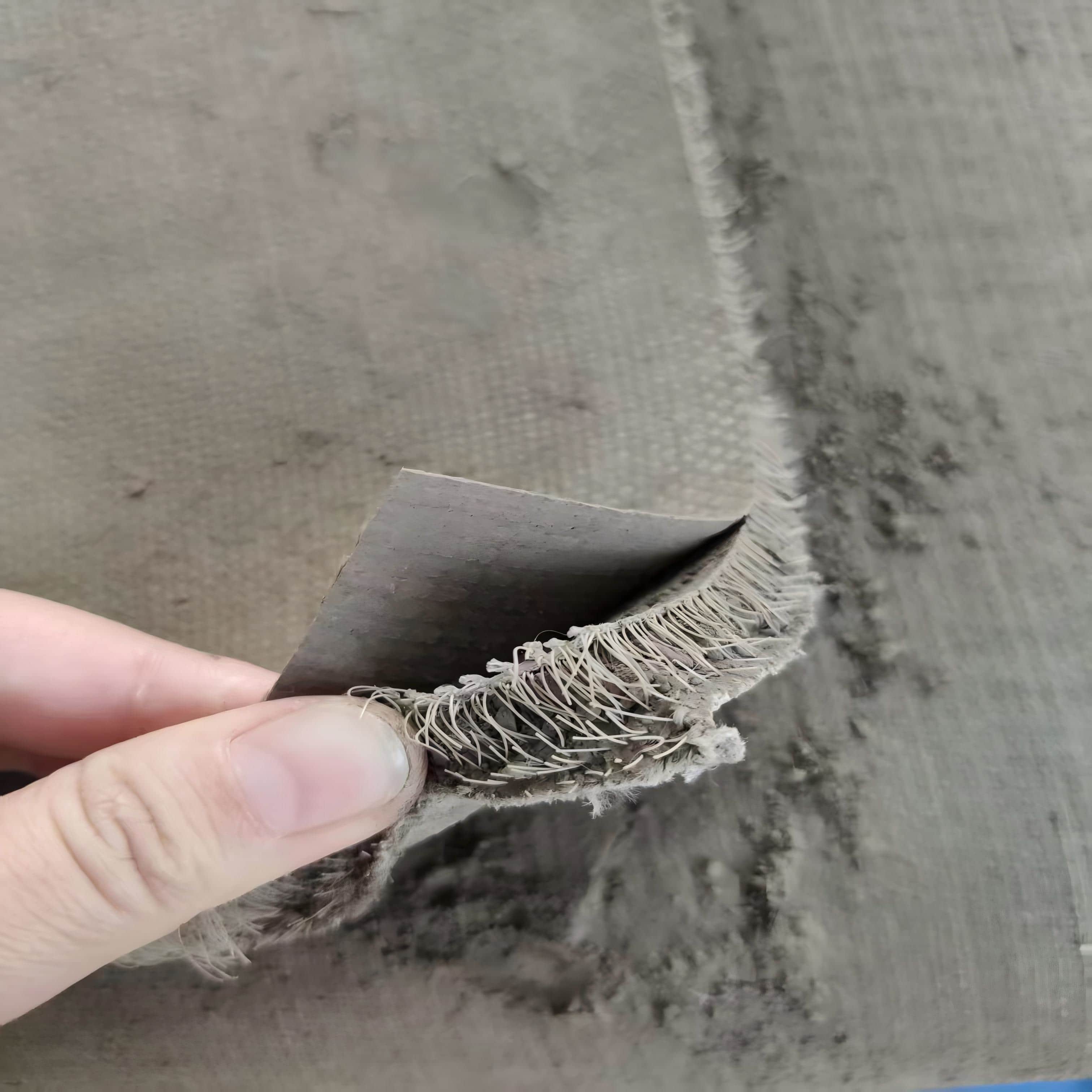 Ditch Lining Systems