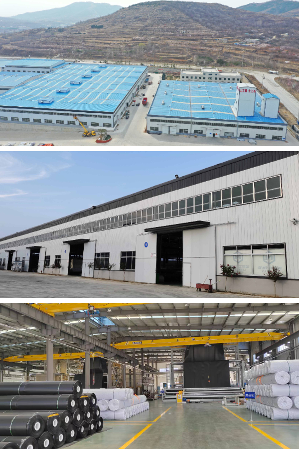 بركة الغشاء الجيوممبرين بركة الغشاء الجيوممبرين