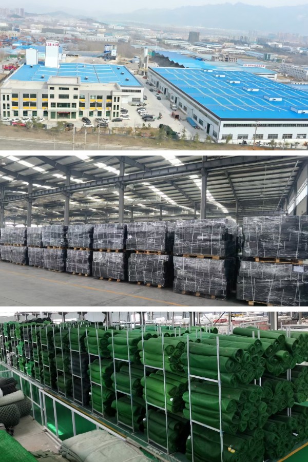 熱帯雨林斜面におけるジオセルの応用：耐湿性と植生との相乗効果