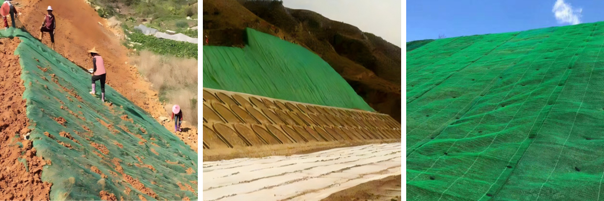 埋立地の覆蓋と鉱山復旧：3Dネットによる安定した植生の閉鎖の実現