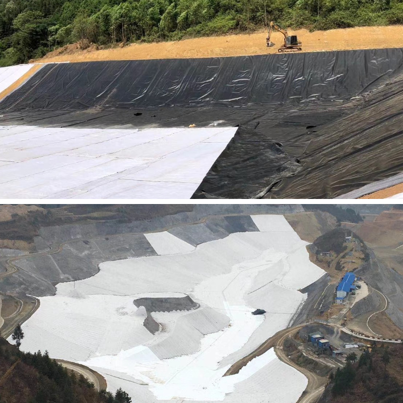 حديقة التكسية الأرضية حديقة التكسية الأرضية