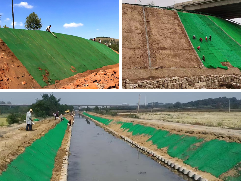 Por qué las redes de vegetación 3D son clave para la infraestructura verde y el desarrollo sostenible.