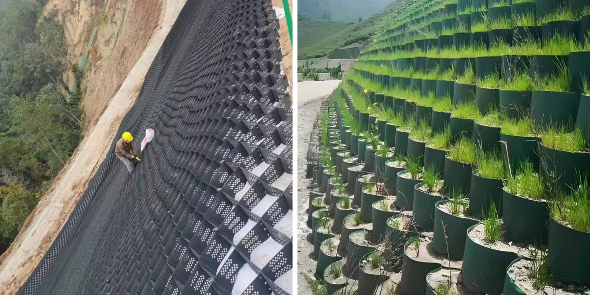 熱帯雨林斜面におけるジオセルの応用：耐湿性と植生との相乗効果