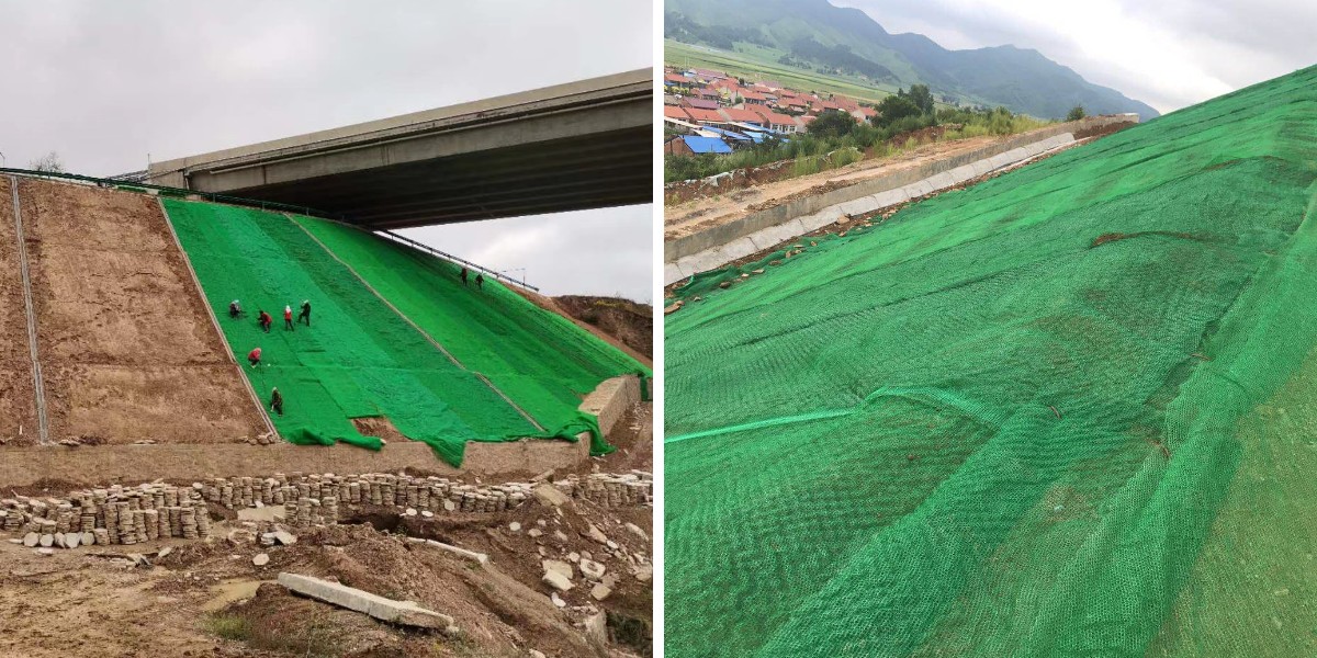 حجم الشبكة وفتحتها: كيف يتحكمان في إنبات البذور، واحتباس التربة، والصرف