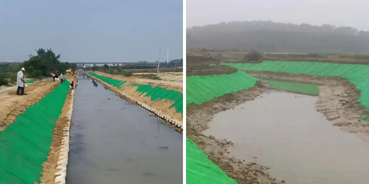 生態系修復プロジェクトにおけるジオマットによる植生成長の促進 生態系修復プロジェクトにおけるジオマットによる植生成長の促進