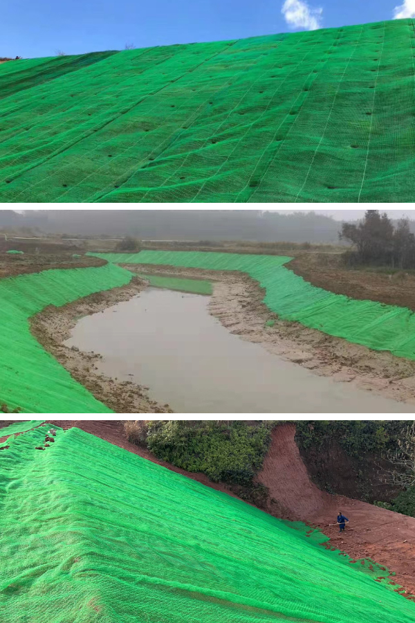 The Green Infrastructure Solution: How 3D Vegetation Nets Support Sustainable Development Goals The Green Infrastructure Solution: How 3D Vegetation Nets Support Sustainable Development Goals