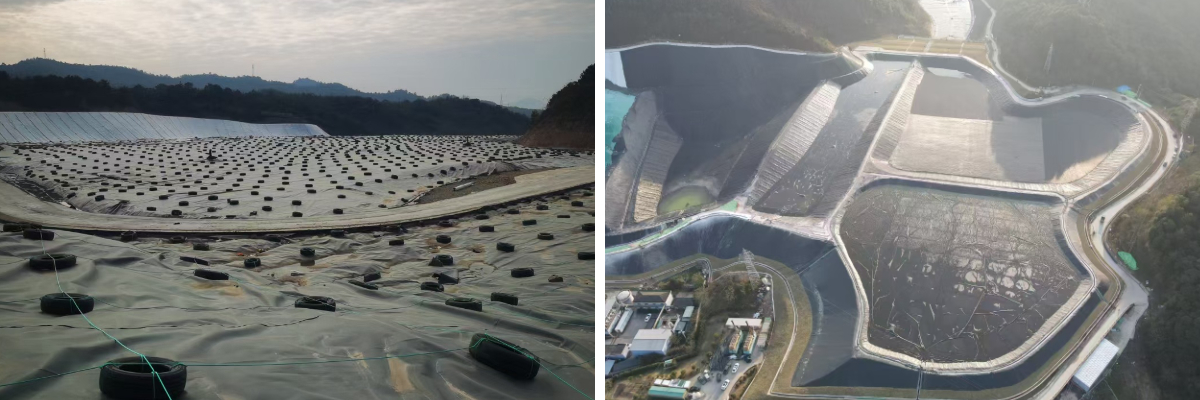 ورقة غشاء جيو