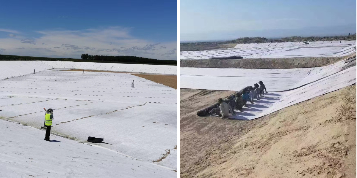 الجيوتكستايل مقابل قماش المناظر الطبيعية: ما الفرق ومتى يُستخدم كل منهما الجيوتكستايل مقابل قماش المناظر الطبيعية: ما الفرق ومتى يُستخدم كل منهما