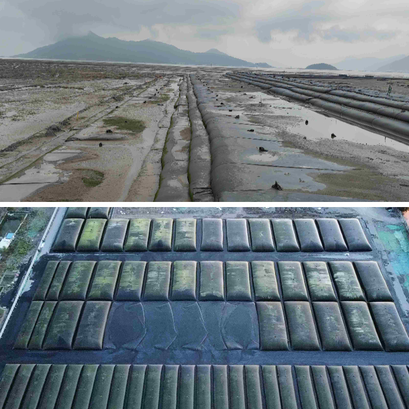 5 applications majeures des tubes géotextiles dans la protection côtière