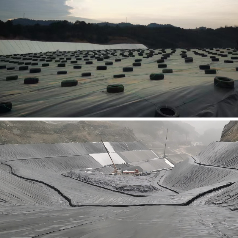 โซลูชันแผ่นกันซึม HDPE สำหรับบ่อบำบัดน้ำเสียทางการเกษตร: การควบคุมกลิ่นและการจัดการน้ำชะล้าง โซลูชันแผ่นกันซึม HDPE สำหรับบ่อบำบัดน้ำเสียทางการเกษตร: การควบคุมกลิ่นและการจัดการน้ำชะล้าง