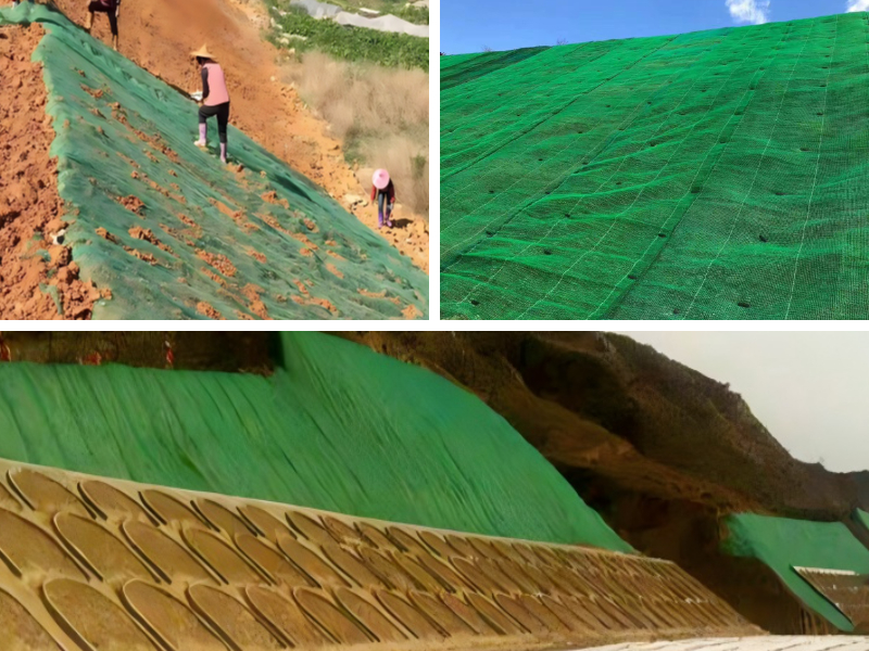 Techos verdes y jardines verticales: Especificaciones de peso ligero para límites de carga Techos verdes y jardines verticales: Especificaciones de peso ligero para límites de carga