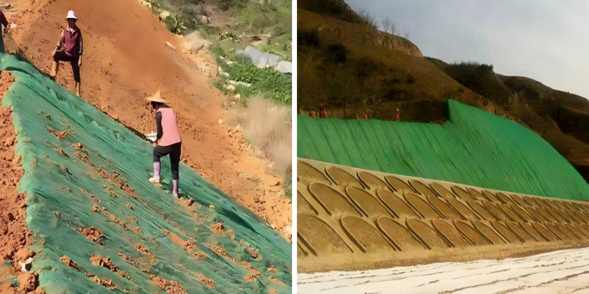 Drenaje de techos verdes y estabilización de raíces con geomanta compuesta Drenaje de techos verdes y estabilización de raíces con geomanta compuesta