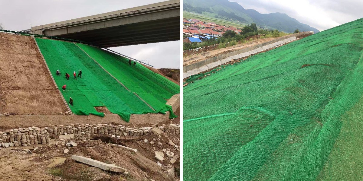 Характеристики 3D-сетки для растительности: полное руководство для начинающих