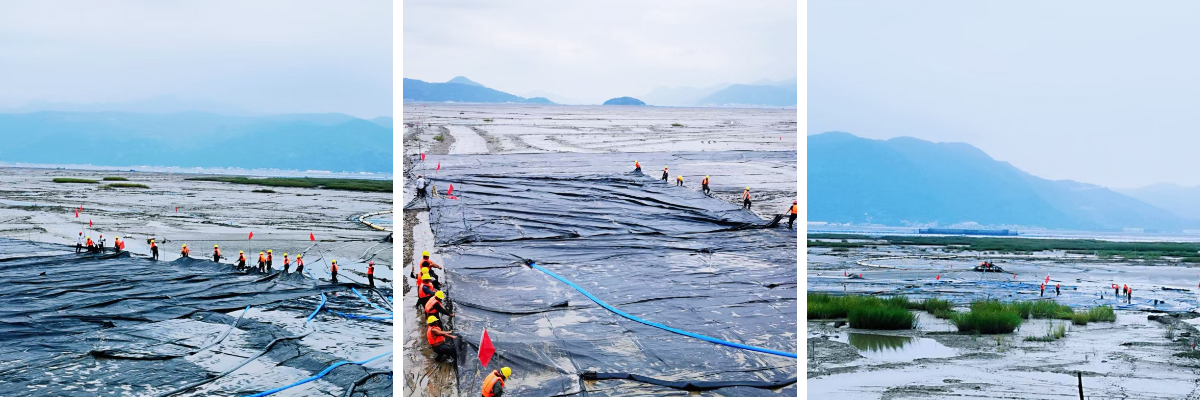 صيانة أكياس التجفيف: أفضل الممارسات في التنظيف وإعادة الاستخدام والتخلص منها