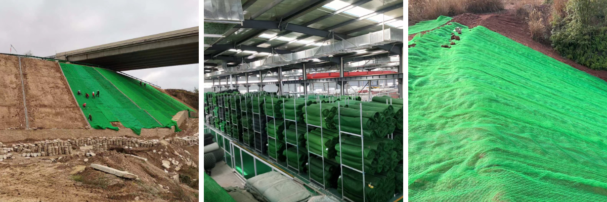 شبكة الغطاء النباتي للبنية التحتية الخضراء