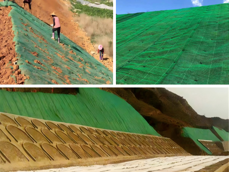 Wetland & Riparian Restoration: Eco-Friendly Specifications for Sensitive Habitats Wetland & Riparian Restoration: Eco-Friendly Specifications for Sensitive Habitats