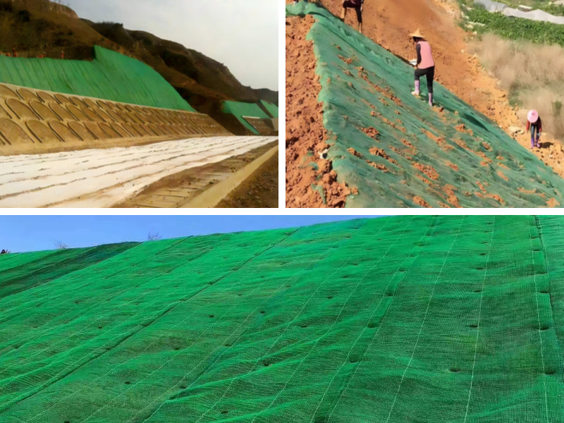 تلبية معايير الصناعة: مواصفات الشبكة النباتية ثلاثية الأبعاد الأساسية تلبية معايير الصناعة: مواصفات الشبكة النباتية ثلاثية الأبعاد الأساسية