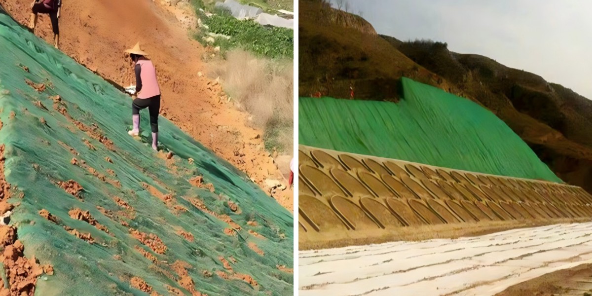 Geomat Combined with Vegetation: How to Lay the Mat for Optimal Plant Growth Geomat Combined with Vegetation: How to Lay the Mat for Optimal Plant Growth