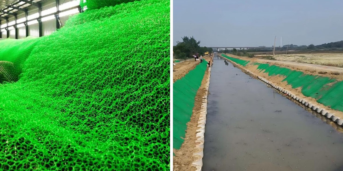 دراسات الحالة: مشاريع الجيومات الناجحة وتأثيرها على كفاءة البناء