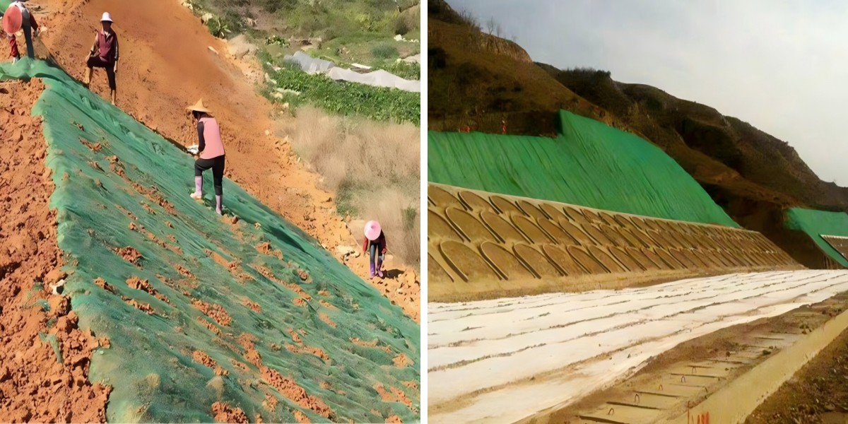 ตาข่ายพืช 3 มิติคืออะไร? คู่มือเบื้องต้นสำหรับแผ่นรองควบคุมการกัดเซาะดิน