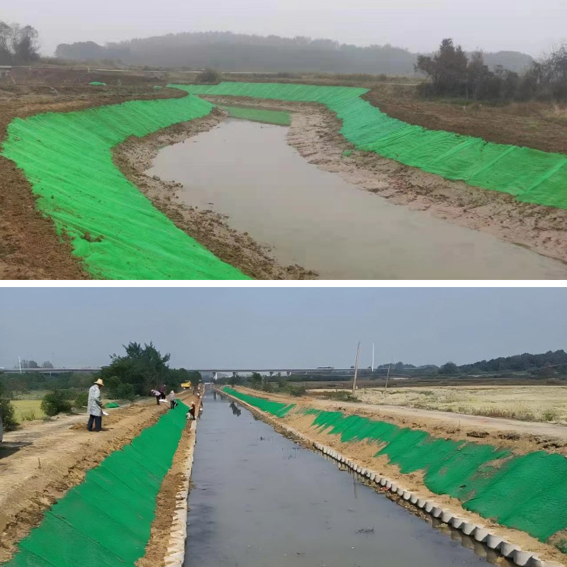 Géomats durables : des matériaux écologiques qui façonnent l’avenir de la lutte contre l’érosion