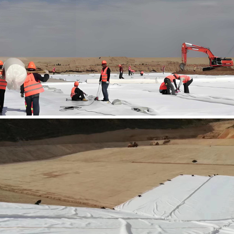 HTTPSConnectionPool(host='www.google.com', port=443): Max retries exceeded with url: /async/translate?vet=12ahUKEwjgj_PoiIKNAxUEEVkFHZnYPGYQqDh6BAgNEC4..i&ei=v00TaKC0NISi5NoPmbHzsQY&opi=89978449&sca_esv=b8ee9af777c98fc7&source=hp&yv=3&_fmt=pc&cs=0 (Caused by NewConnectionError('<urllib3.connection.HTTPSConnection object at 0x7fe96e6c1130>: Failed to establish a new connection: [Errno -9] Address family for hostname not supported'))