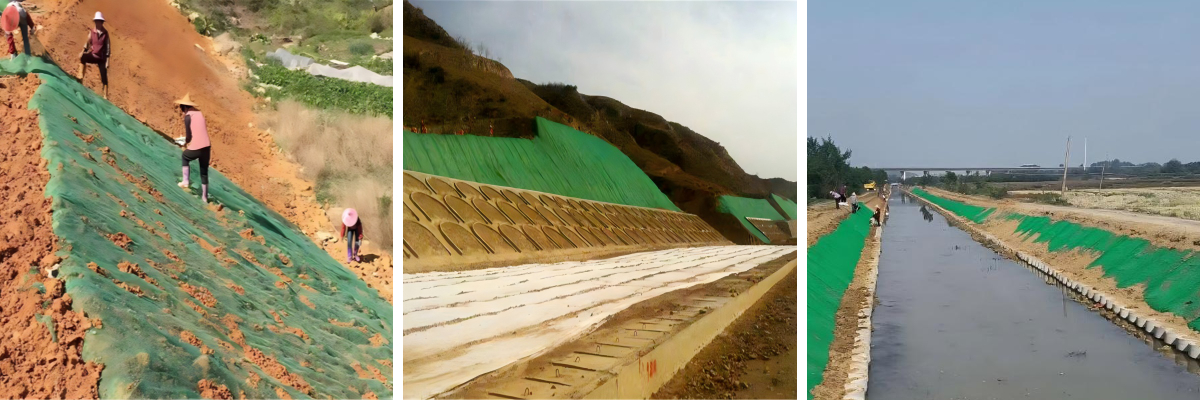 Beyond Seed Blankets: The Superior Protection of 3D Vegetation Nets