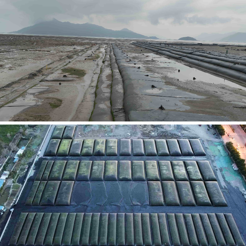 أنابيب الجيوتكستايل لمشاريع استعادة السواحل المستدامة