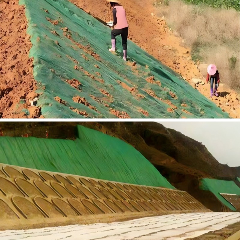 استخدام الجيومات لإدارة مياه الأمطار والتحكم في الجريان السطحي