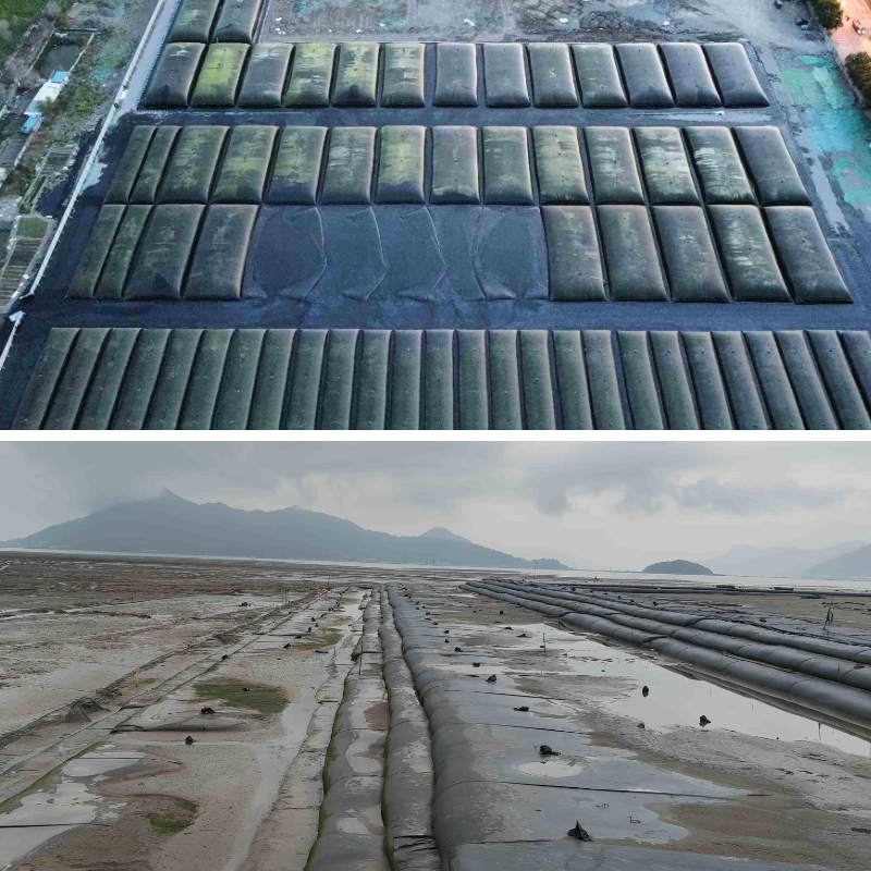 أنابيب الجيوتكستايل لمكافحة تآكل السواحل: أفضل الممارسات وأمثلة المشاريع أنابيب الجيوتكستايل لمكافحة تآكل السواحل: أفضل الممارسات وأمثلة المشاريع