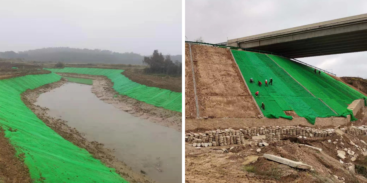 تلبية معايير الصناعة: مواصفات الشبكة النباتية ثلاثية الأبعاد الأساسية تلبية معايير الصناعة: مواصفات الشبكة النباتية ثلاثية الأبعاد الأساسية