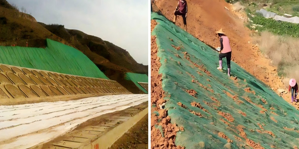 Характеристики 3D-сетки для растительности: полное руководство для начинающих