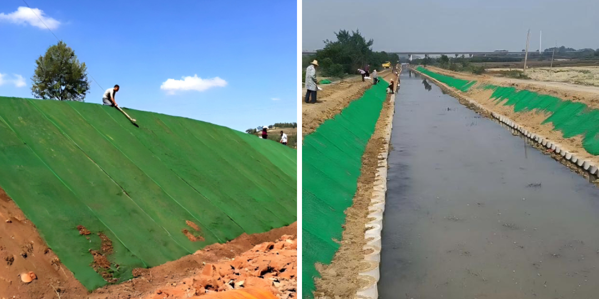 مقارنة مواصفات شبكة النباتات ثلاثية الأبعاد: أيها يناسب مشروعك؟ مقارنة مواصفات شبكة النباتات ثلاثية الأبعاد: أيها يناسب مشروعك؟