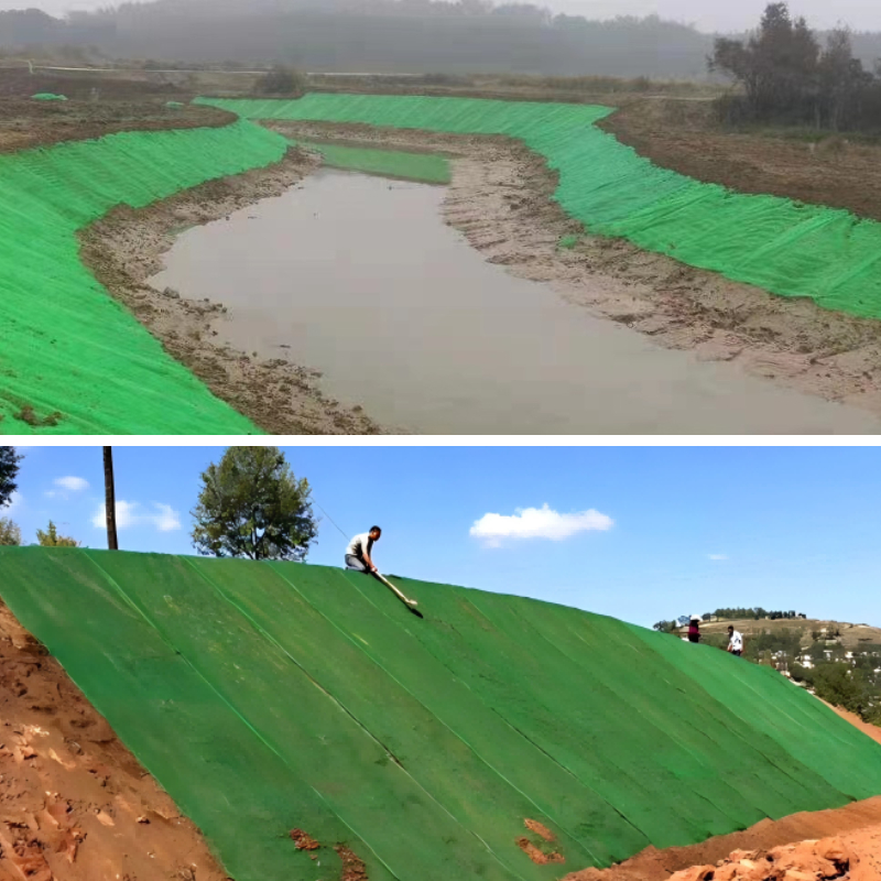 الجيومات والنباتات: إنشاء منحدرات خضراء مستدامة