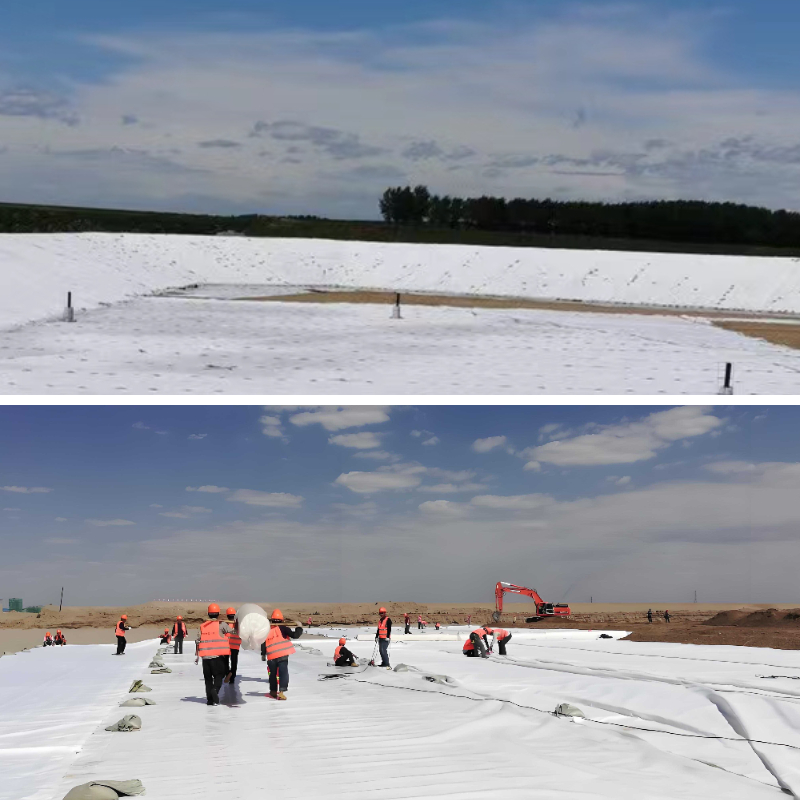 Geotextile Cloth Material Options: Polypropylene vs. Polyester—Pros & Cons Geotextile Cloth Material Options: Polypropylene vs. Polyester—Pros & Cons