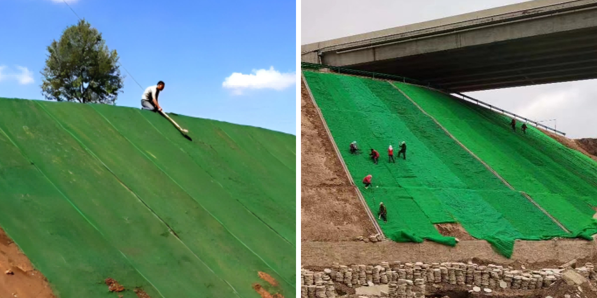 Geomat Combined with Vegetation: How to Lay the Mat for Optimal Plant Growth Geomat Combined with Vegetation: How to Lay the Mat for Optimal Plant Growth