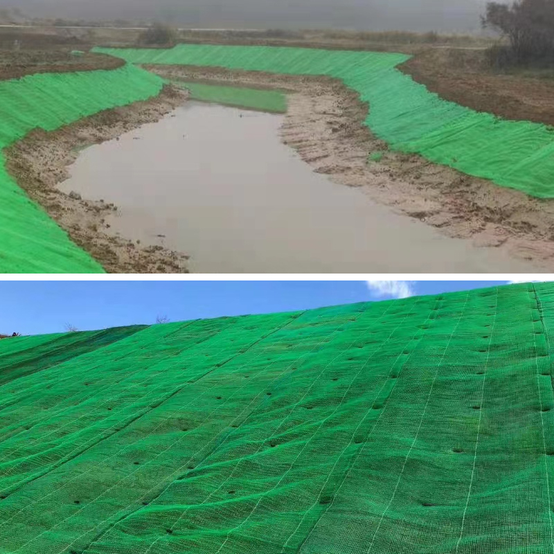 دراسات الحالة: مشاريع الجيومات الناجحة وتأثيرها على كفاءة البناء