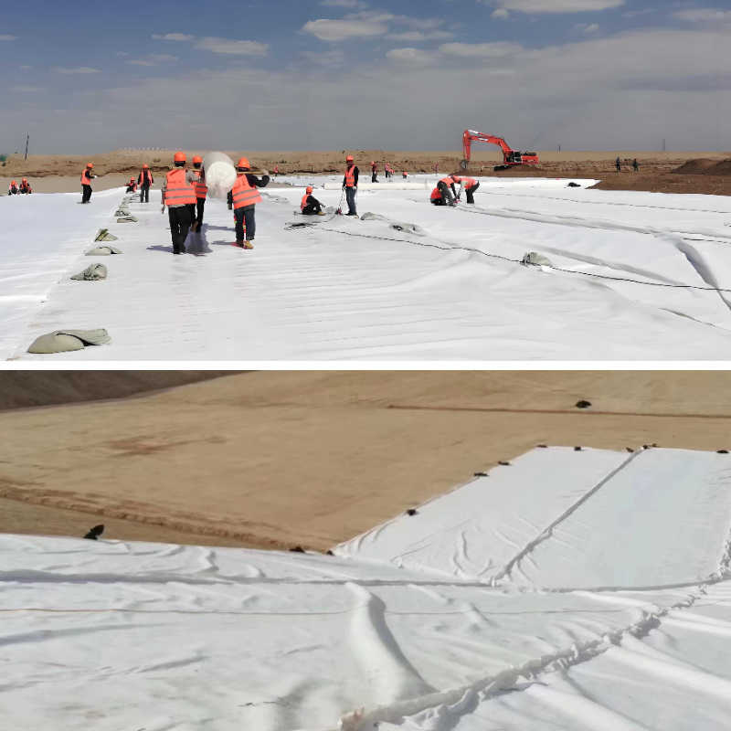 استخدام نسيج الجيوتكستايل في عمليات الثروة الحيوانية استخدام نسيج الجيوتكستايل في عمليات الثروة الحيوانية