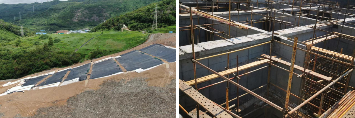 بطانة الغشاء الجيوممبرين