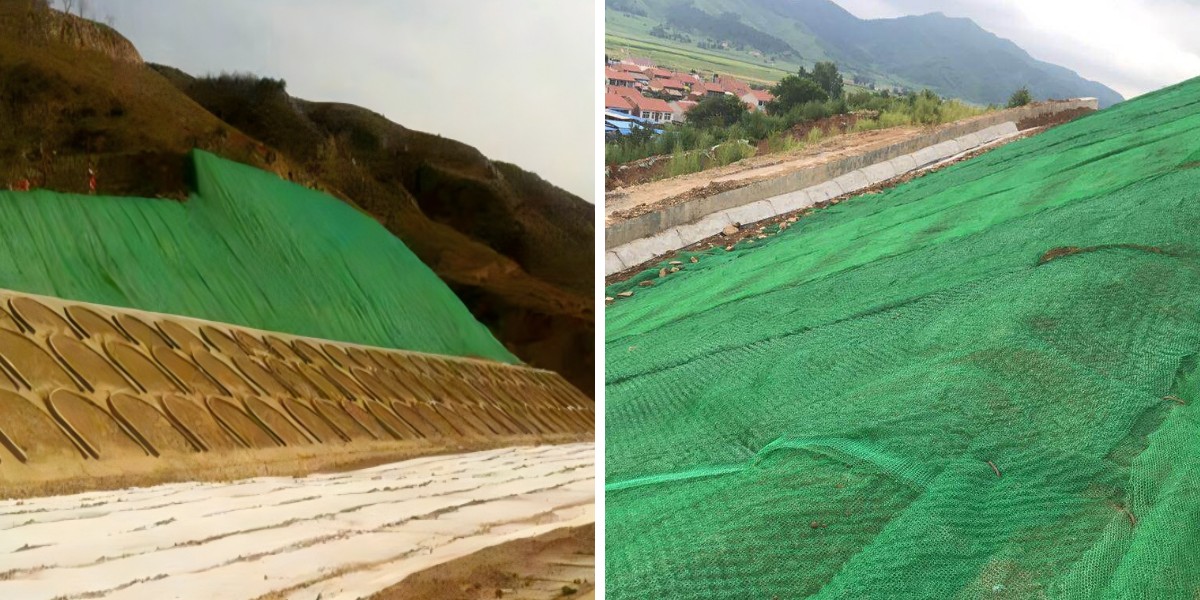 生態系修復プロジェクトにおけるジオマットによる植生成長の促進 生態系修復プロジェクトにおけるジオマットによる植生成長の促進