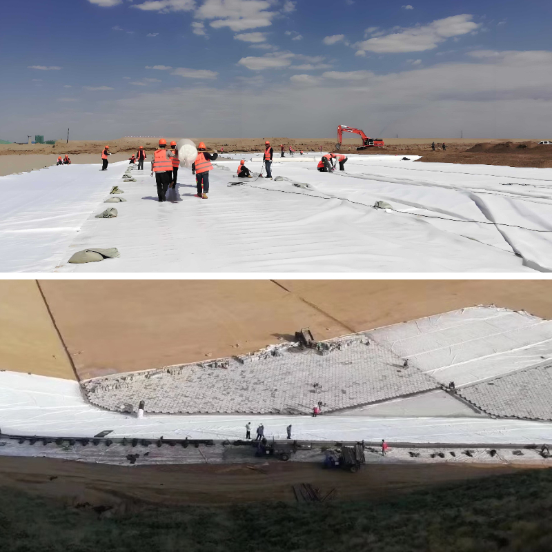 Geotextile Cloth for Garden Weed Control: Permeable Solutions That Protect Plants Geotextile Cloth for Garden Weed Control: Permeable Solutions That Protect Plants